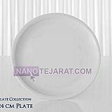 restaurant porcelain- flat plate restaurant porcelain- flat plate